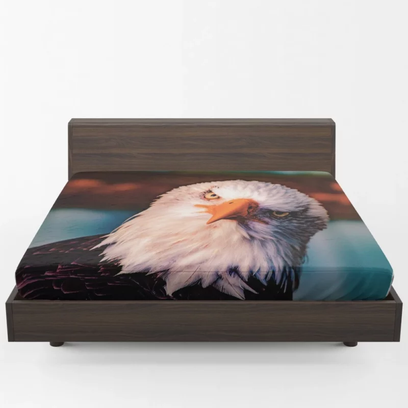 Soaring Majesty Bald Eagle Sky Hunting Fitted Sheet