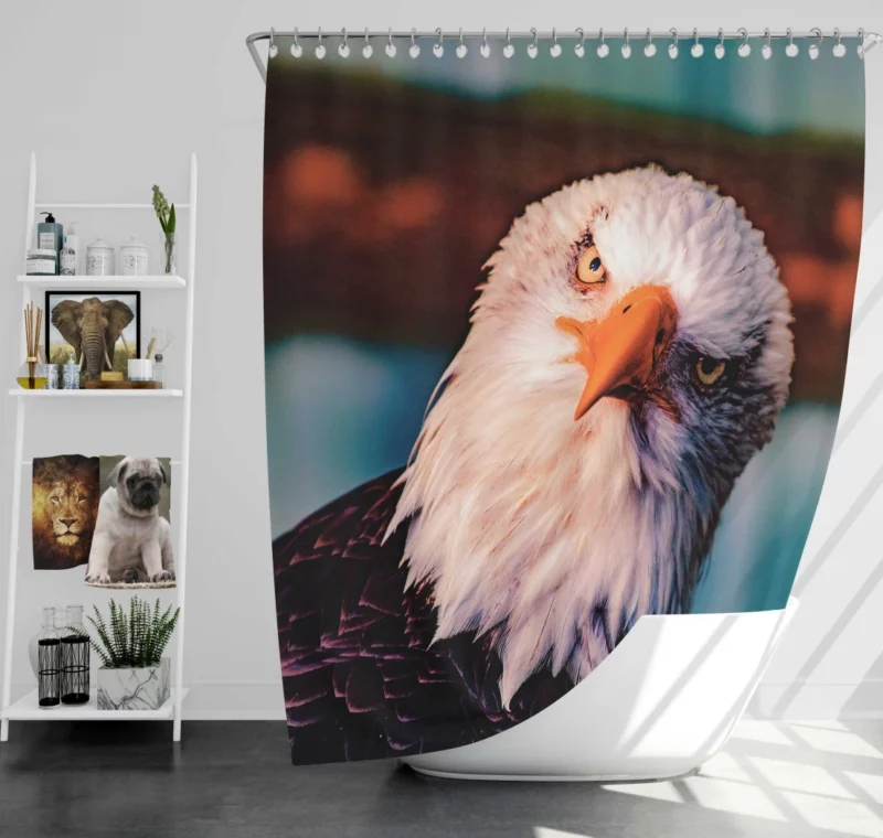 Soaring Majesty Bald Eagle Sky Hunting Shower Curtain