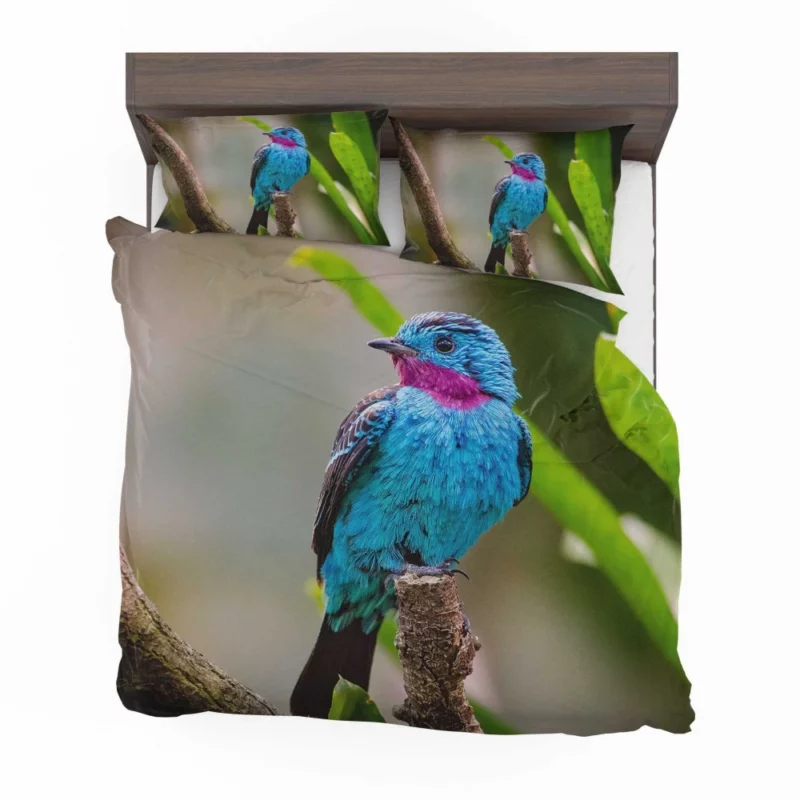 Spangled Cotinga Tropical Beauty Vibrant Plumage Bedding Set 1