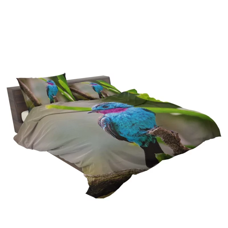 Spangled Cotinga Tropical Beauty Vibrant Plumage Bedding Set 2