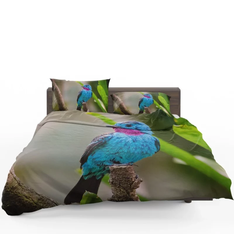 Spangled Cotinga Tropical Beauty Vibrant Plumage Bedding Set