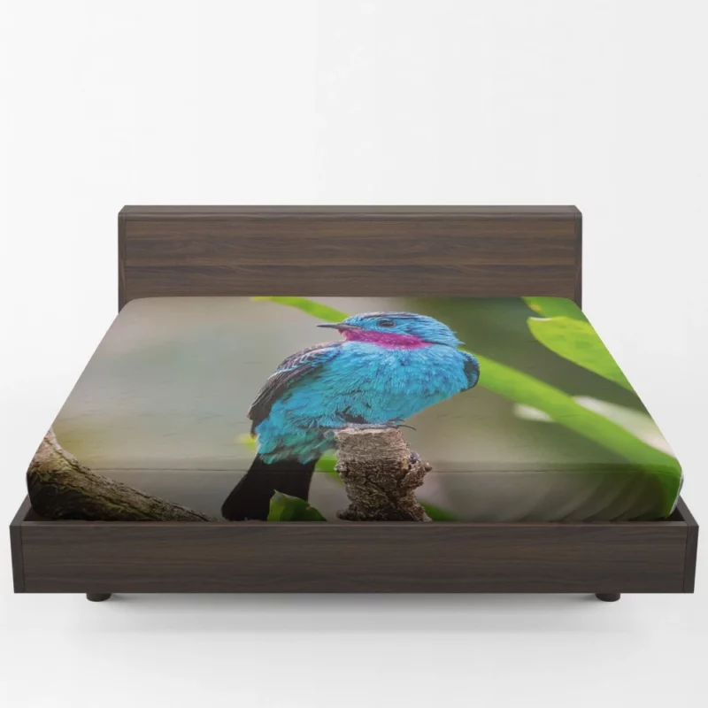 Spangled Cotinga Tropical Beauty Vibrant Plumage Fitted Sheet