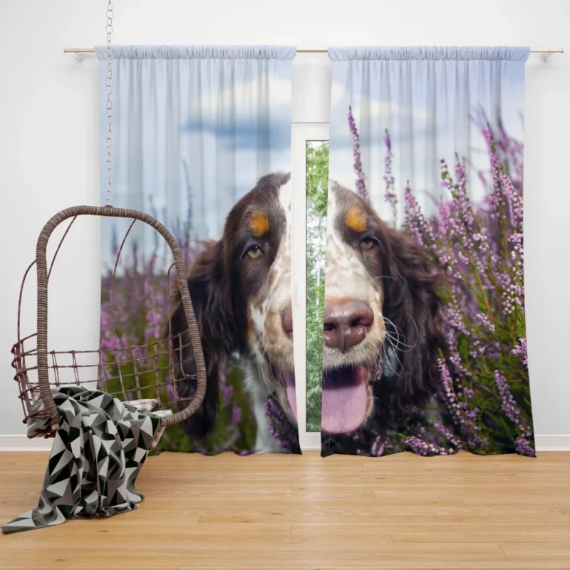 Spaniel Lavender Charm Floral Beauty Curtain