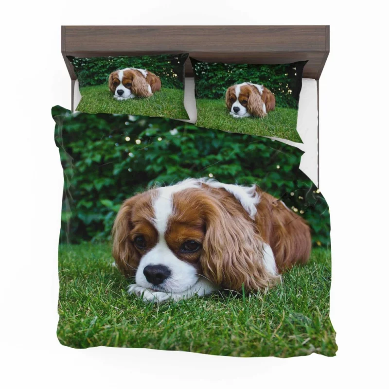 Spaniel Puppy Sweet Innocence Bedding Set 1