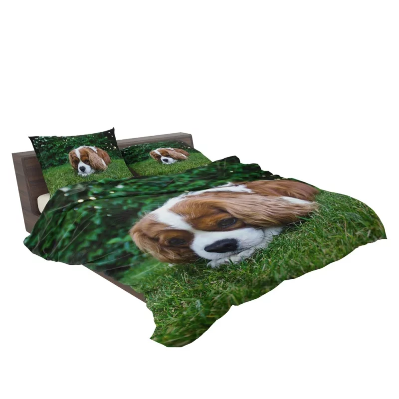 Spaniel Puppy Sweet Innocence Bedding Set 2