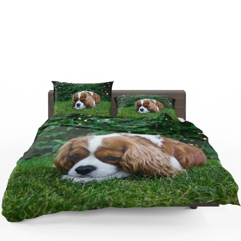 Spaniel Puppy Sweet Innocence Bedding Set