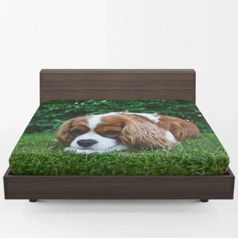 Spaniel Puppy Sweet Innocence Fitted Sheet