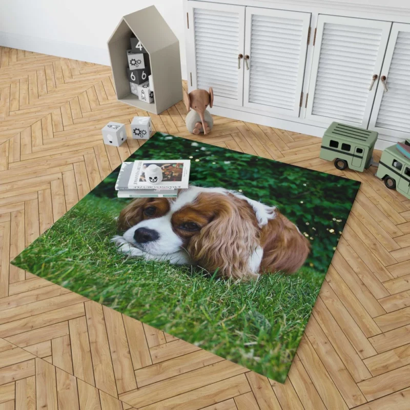 Spaniel Puppy Sweet Innocence Rug 1