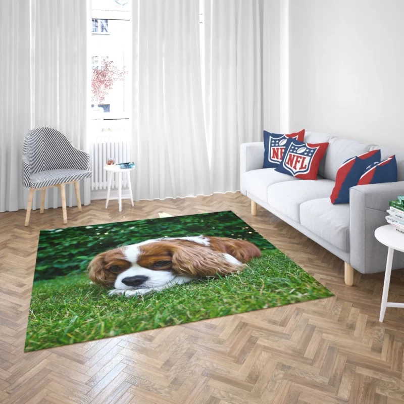 Spaniel Puppy Sweet Innocence Rug 2