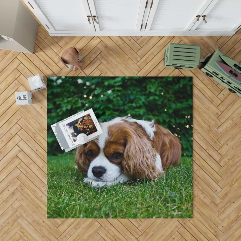 Spaniel Puppy Sweet Innocence Rug