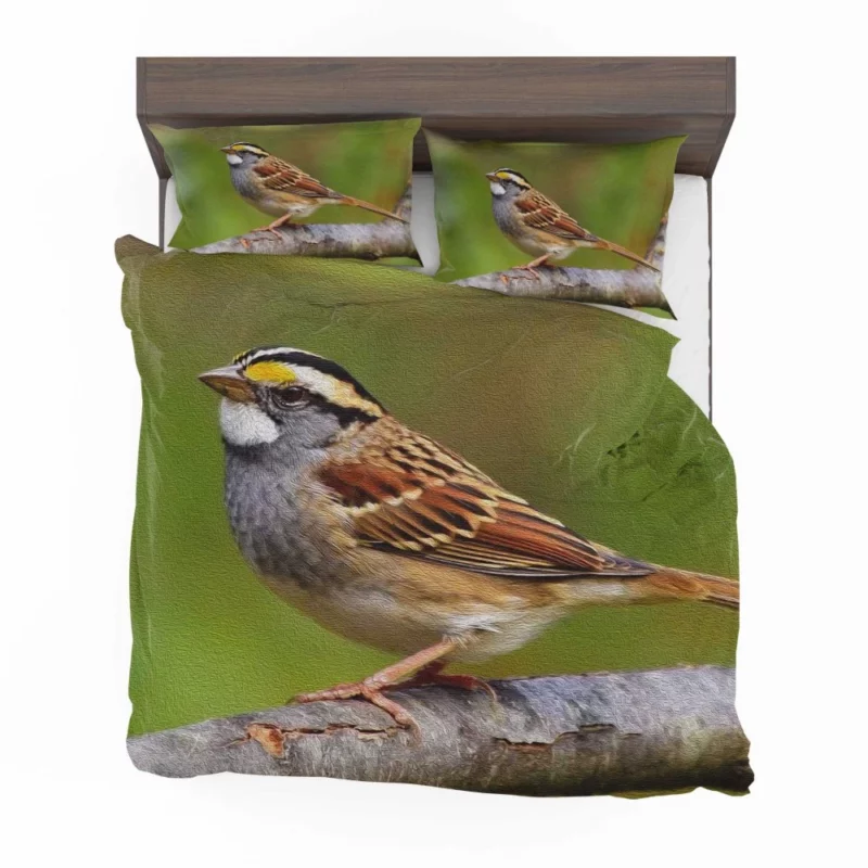 Sparrow Artful Pose Canvas Creation Bedding Set 1