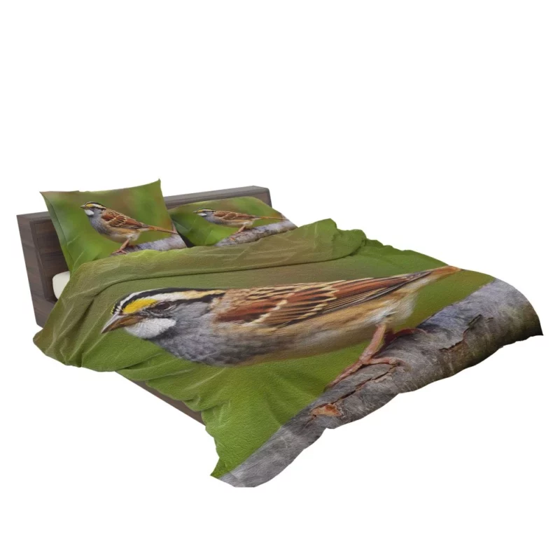 Sparrow Artful Pose Canvas Creation Bedding Set 2