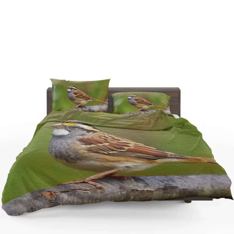 Sparrow Artful Pose Canvas Creation Bedding Set