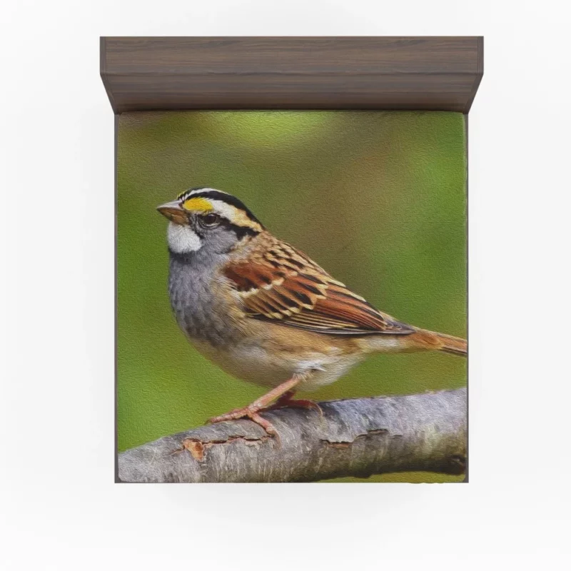 Sparrow Artful Pose Canvas Creation Fitted Sheet 1