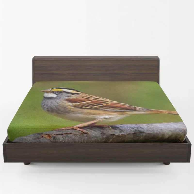 Sparrow Artful Pose Canvas Creation Fitted Sheet