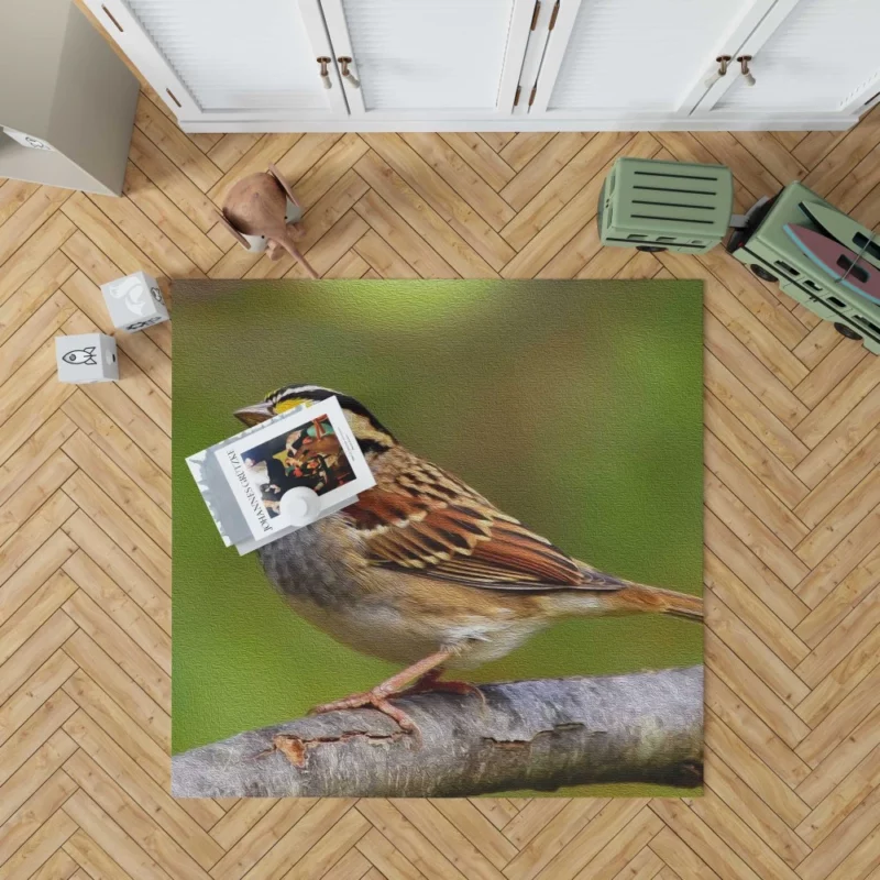 Sparrow Artful Pose Canvas Creation Rug