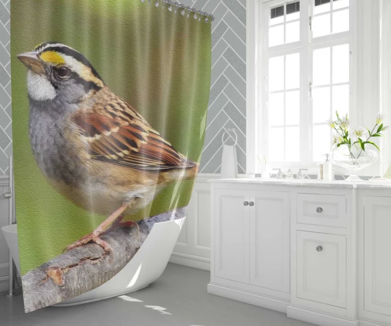 Sparrow Artful Pose Canvas Creation Shower Curtain 1