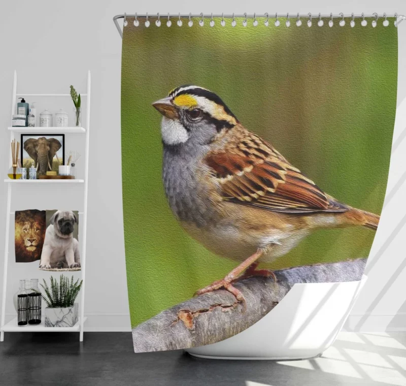 Sparrow Artful Pose Canvas Creation Shower Curtain