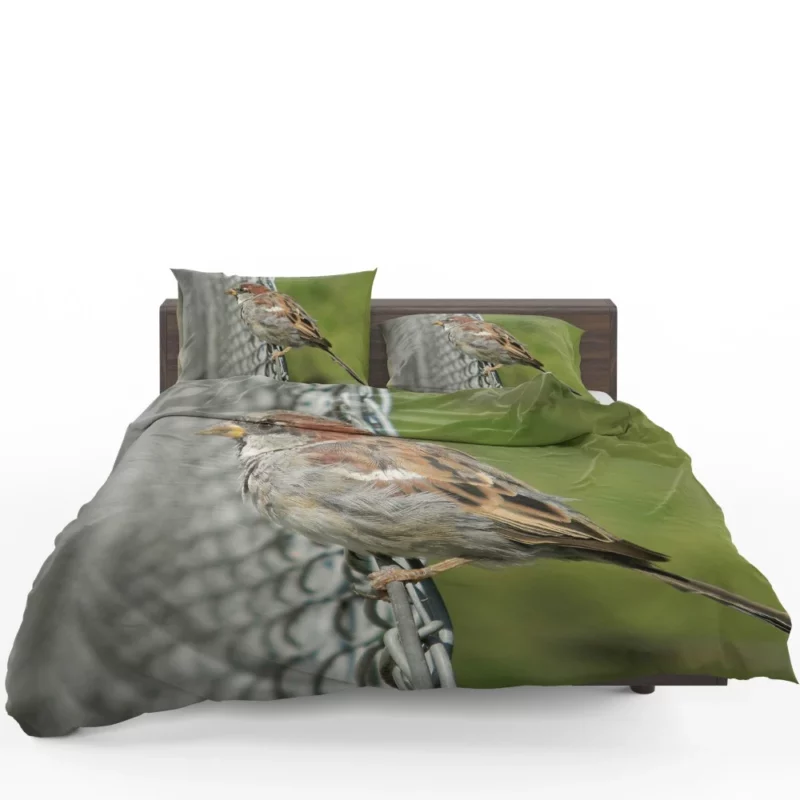 Sparrow Chirpy Essence Tiny Wonder Bedding Set