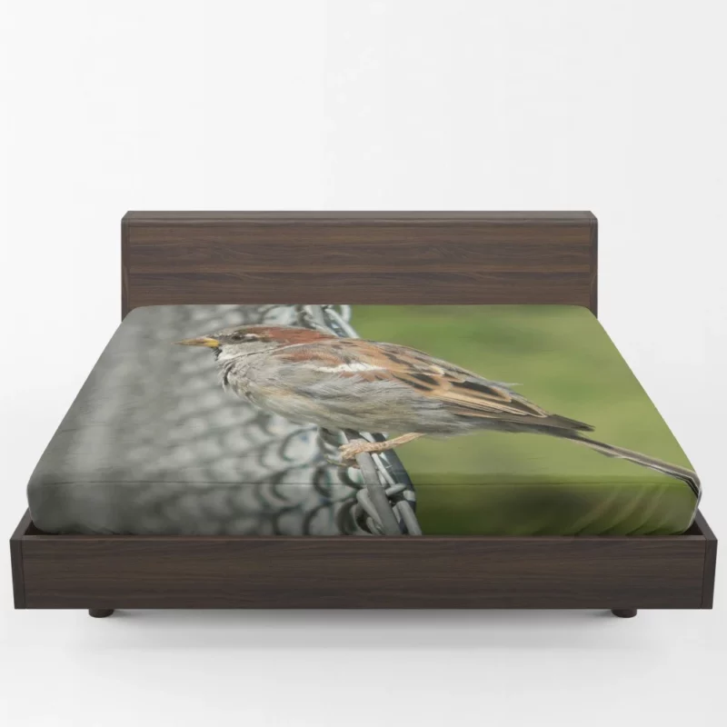 Sparrow Chirpy Essence Tiny Wonder Fitted Sheet