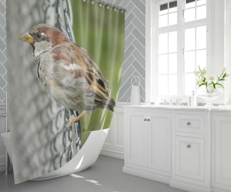 Sparrow Chirpy Essence Tiny Wonder Shower Curtain 1