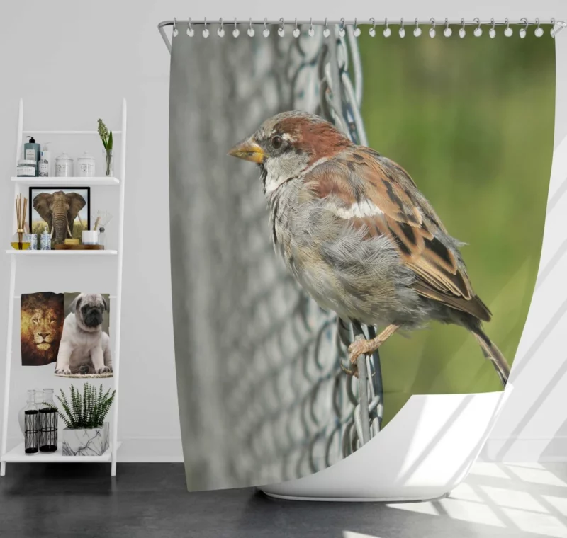 Sparrow Chirpy Essence Tiny Wonder Shower Curtain