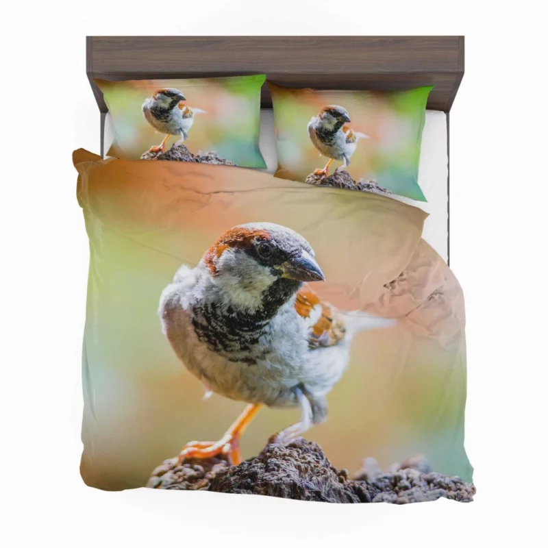 Sparrow Close-Up Charm Tiny Marvel Bedding Set 1