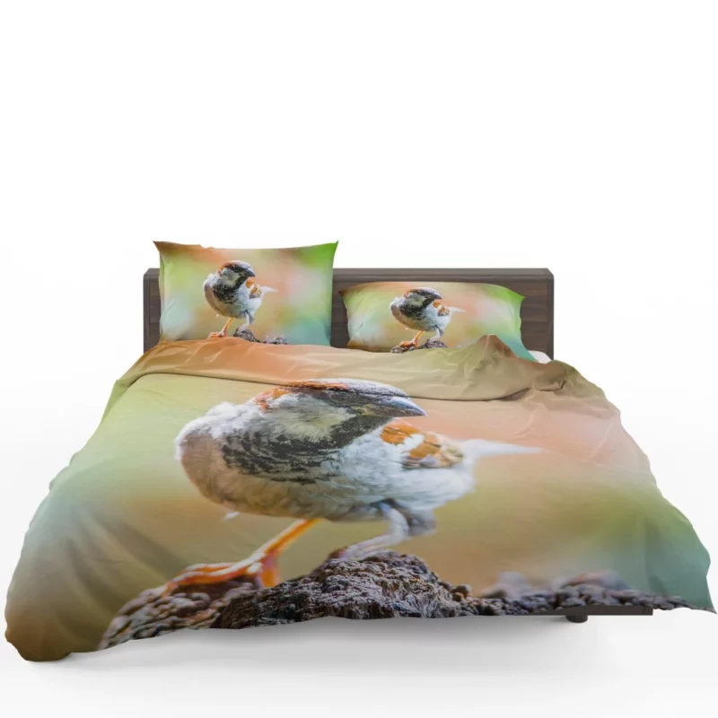 Sparrow Close-Up Charm Tiny Marvel Bedding Set