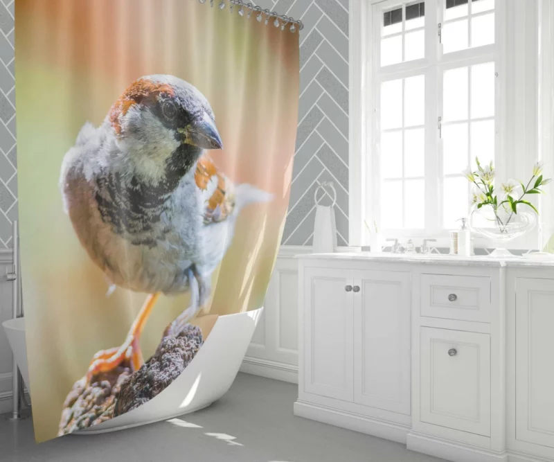 Sparrow Close-Up Charm Tiny Marvel Shower Curtain 1