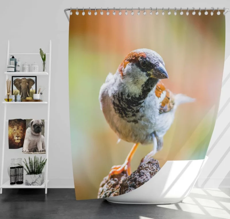 Sparrow Close-Up Charm Tiny Marvel Shower Curtain