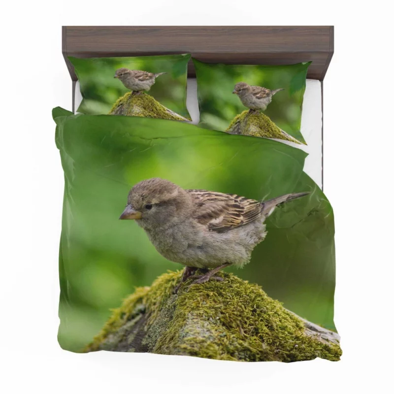 Sparrow Mossy Perch Natural Hideaway Bedding Set 1