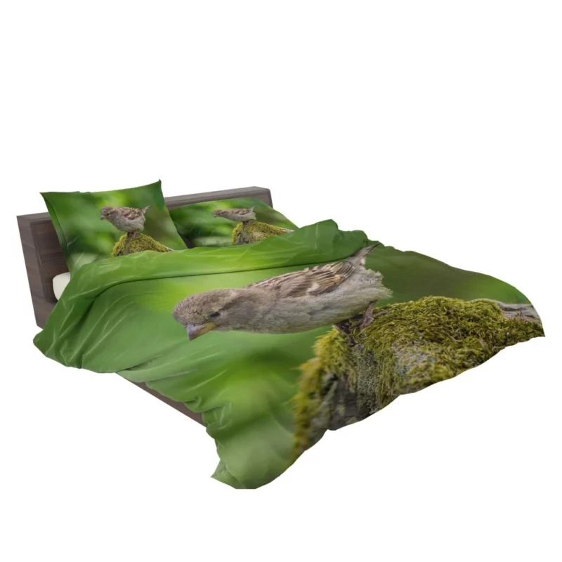 Sparrow Mossy Perch Natural Hideaway Bedding Set 2