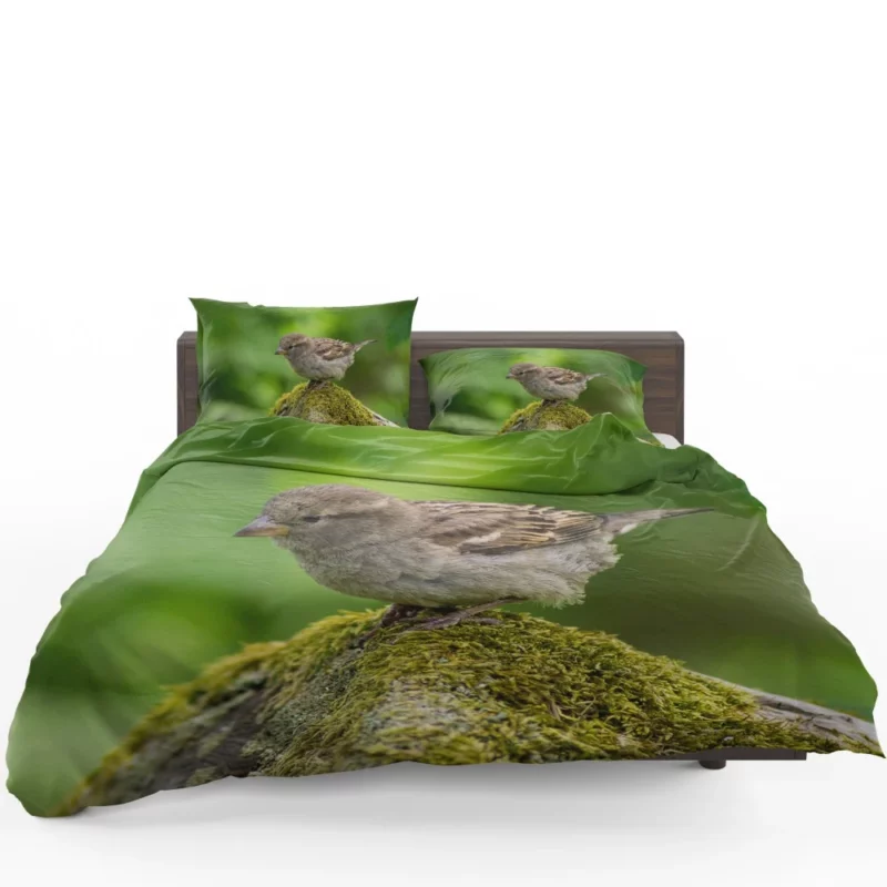 Sparrow Mossy Perch Natural Hideaway Bedding Set