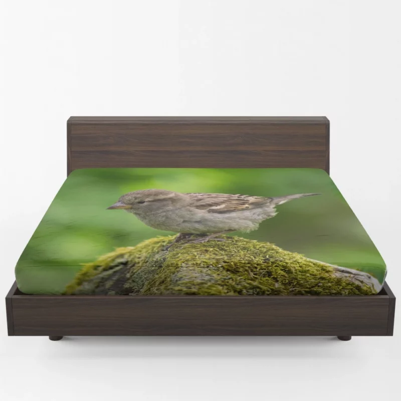 Sparrow Mossy Perch Natural Hideaway Fitted Sheet