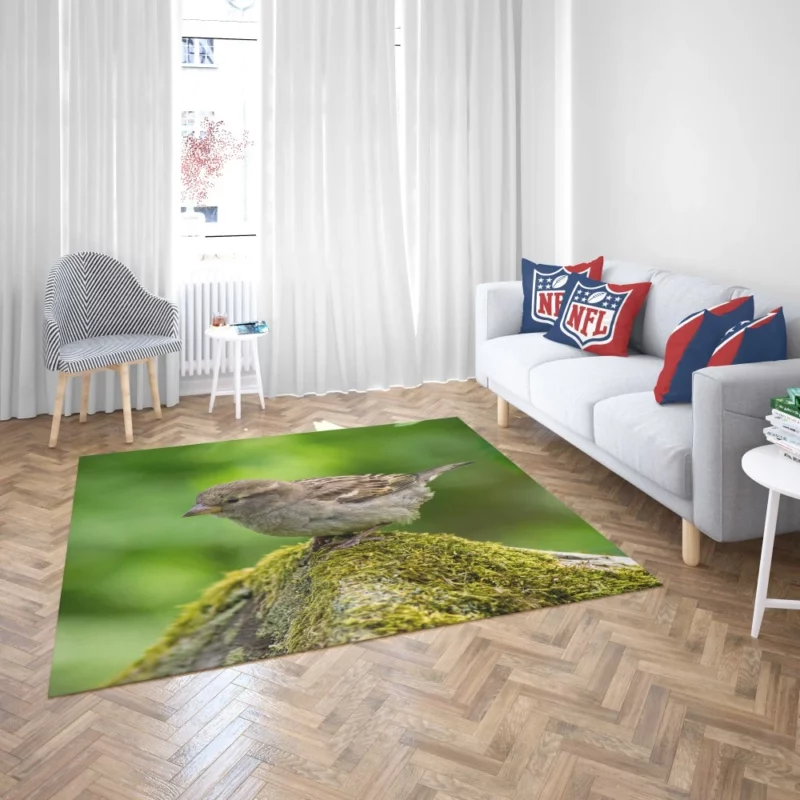 Sparrow Mossy Perch Natural Hideaway Rug 2