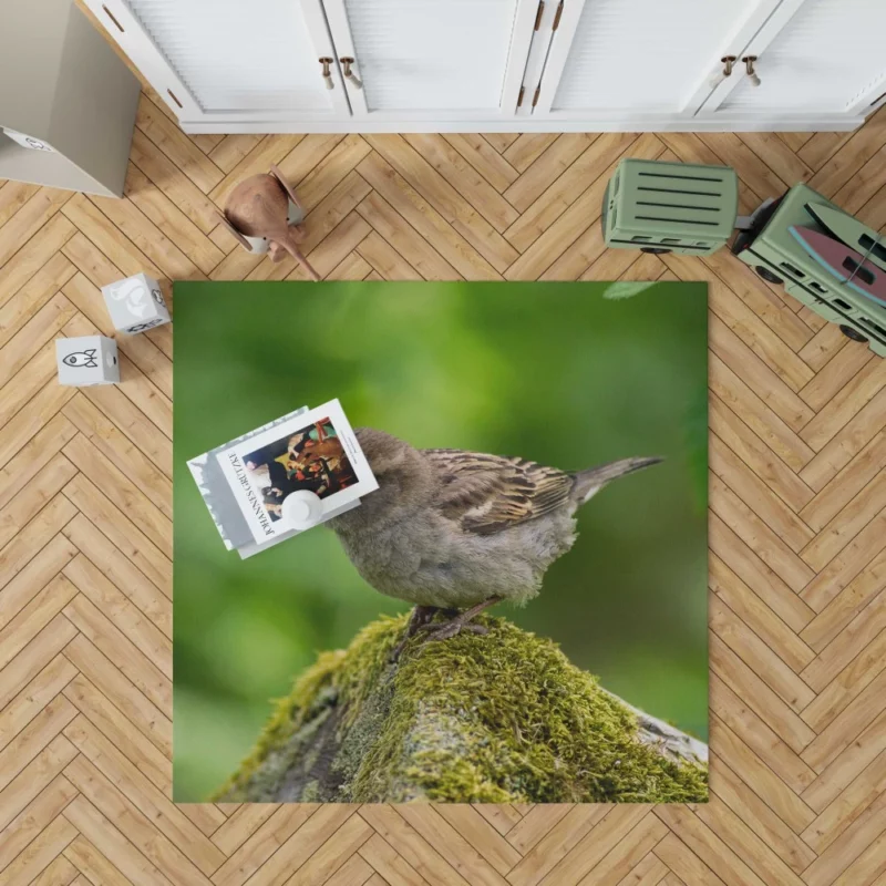 Sparrow Mossy Perch Natural Hideaway Rug