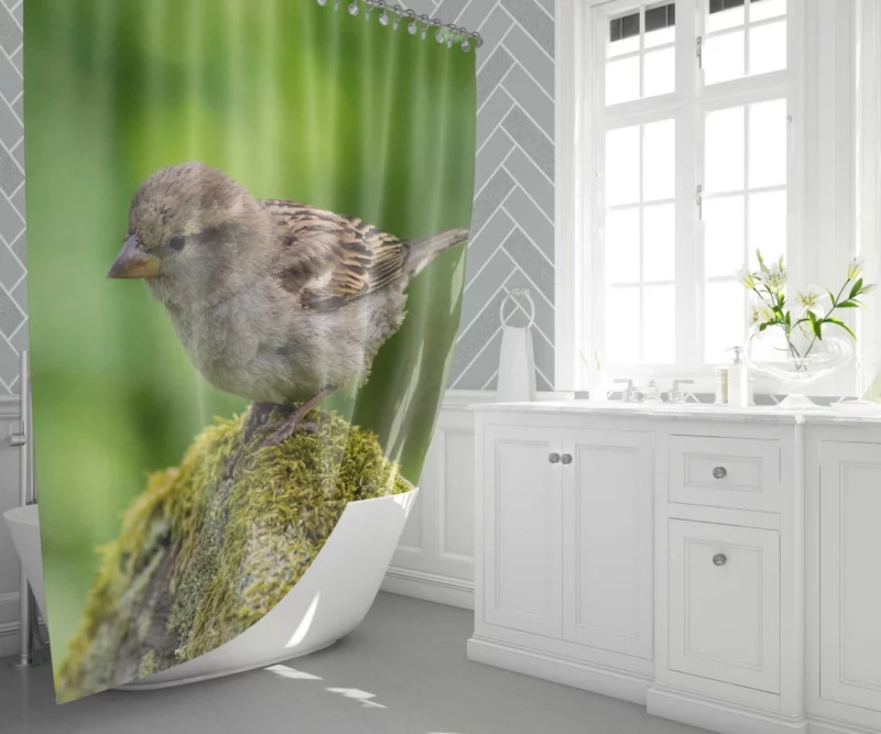 Sparrow Mossy Perch Natural Hideaway Shower Curtain 1