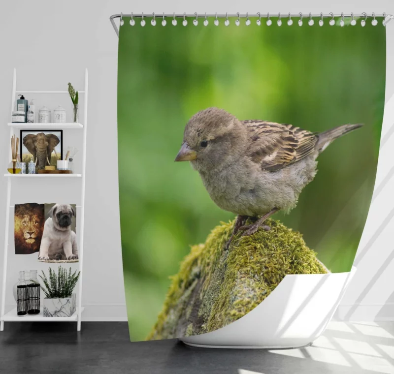 Sparrow Mossy Perch Natural Hideaway Shower Curtain