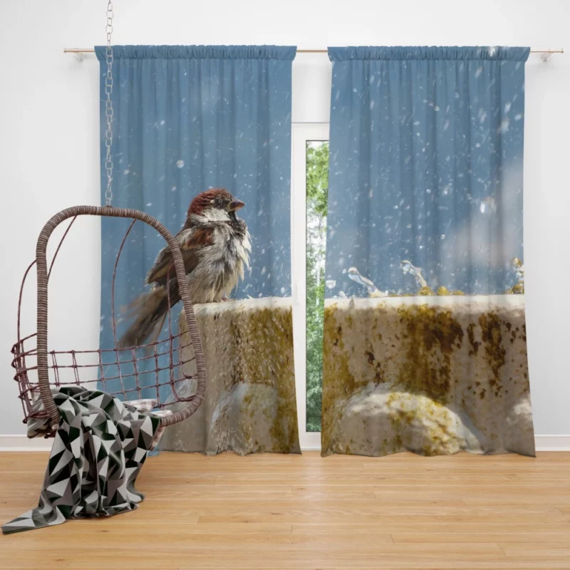 Sparrow Refreshing Splash Feathered Play Curtain