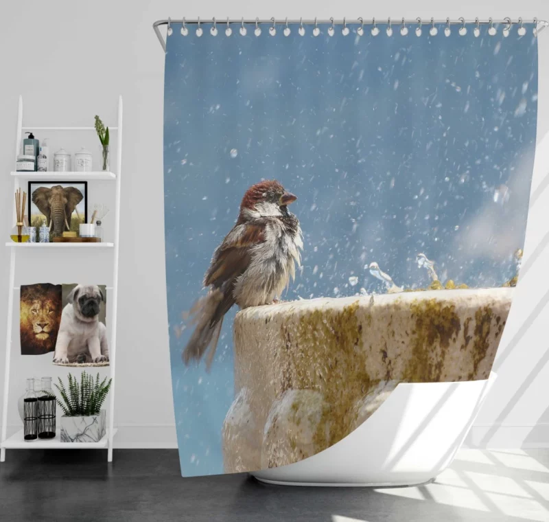 Sparrow Refreshing Splash Feathered Play Shower Curtain