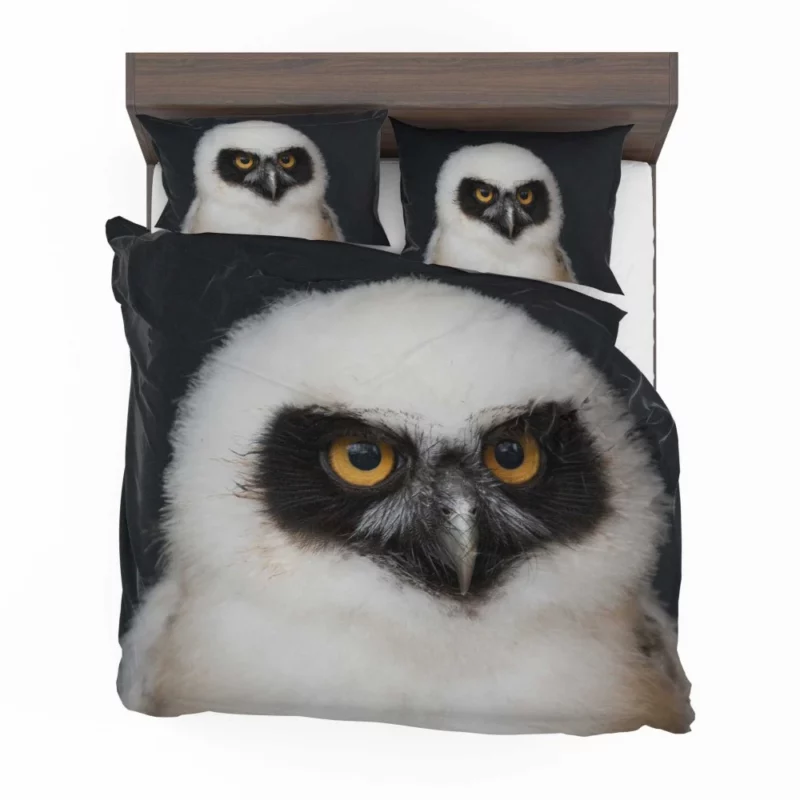 Spectacled Owl Chick Curious Avian Youth Bedding Set 1