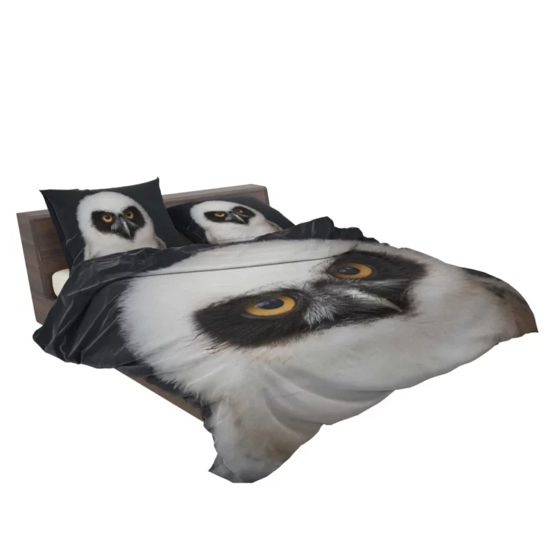 Spectacled Owl Chick Curious Avian Youth Bedding Set 2