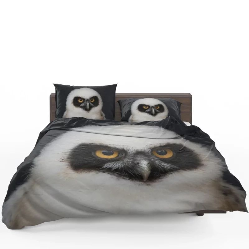 Spectacled Owl Chick Curious Avian Youth Bedding Set