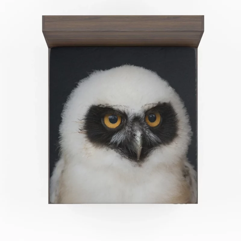 Spectacled Owl Chick Curious Avian Youth Fitted Sheet 1