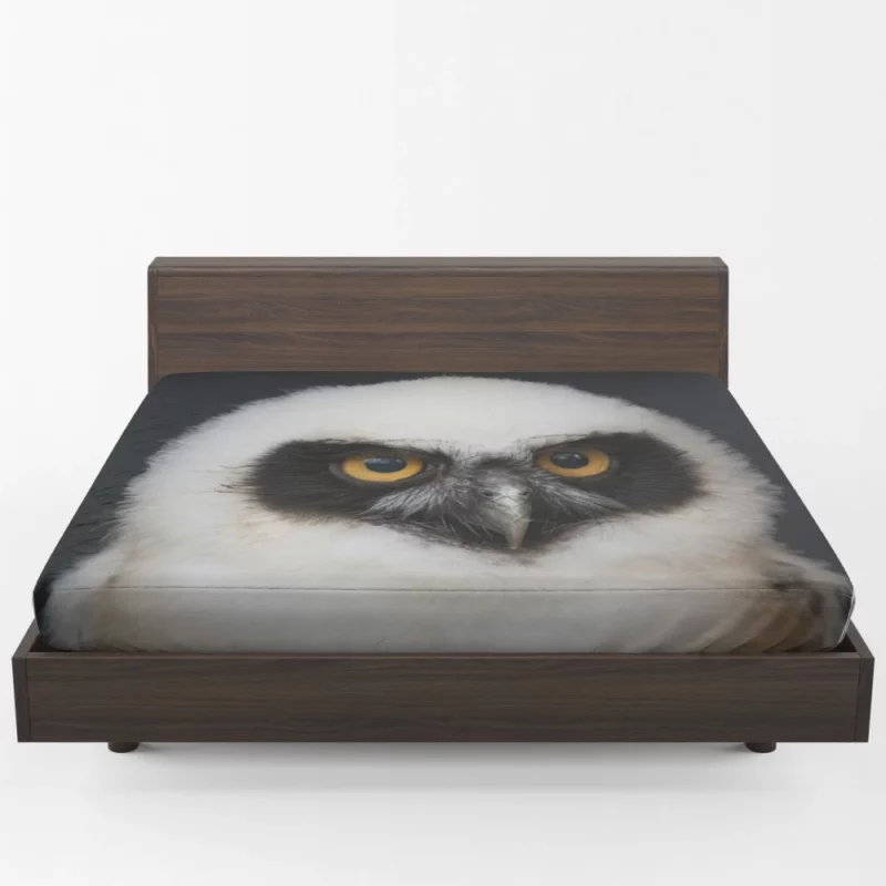 Spectacled Owl Chick Curious Avian Youth Fitted Sheet