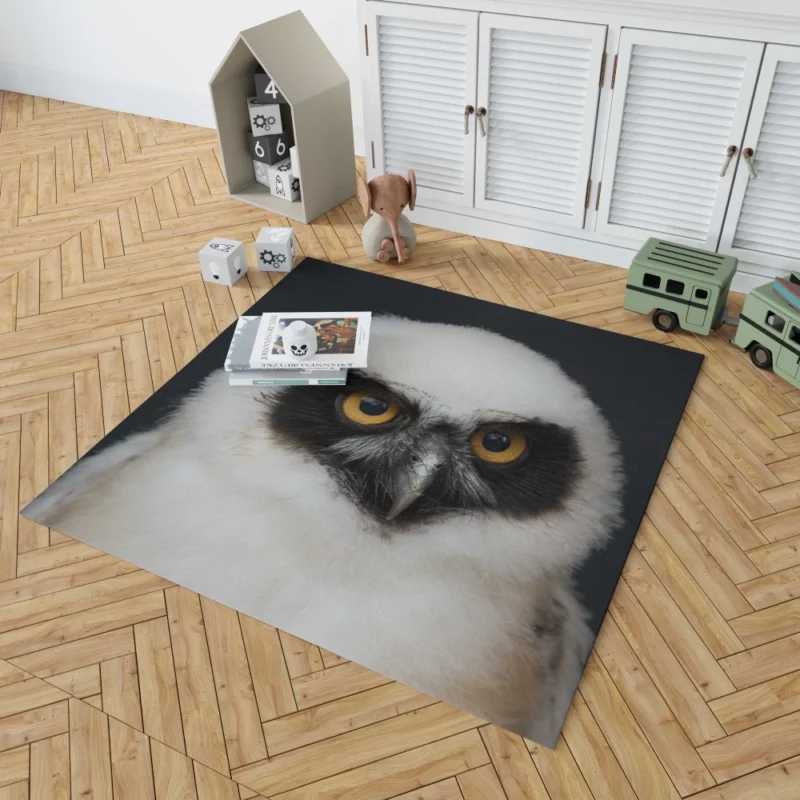 Spectacled Owl Chick Curious Avian Youth Rug 1