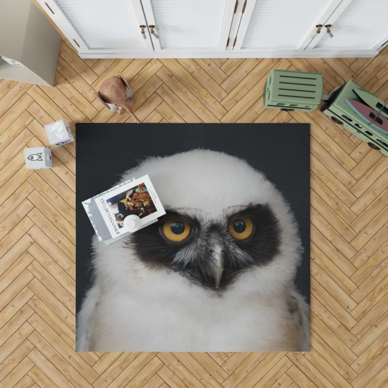 Spectacled Owl Chick Curious Avian Youth Rug