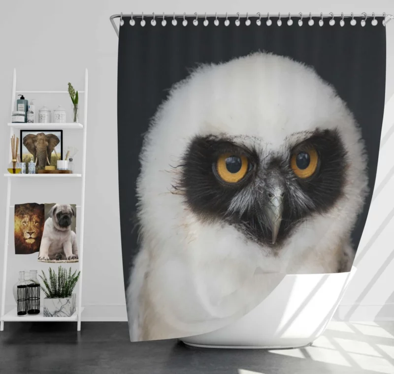 Spectacled Owl Chick Curious Avian Youth Shower Curtain