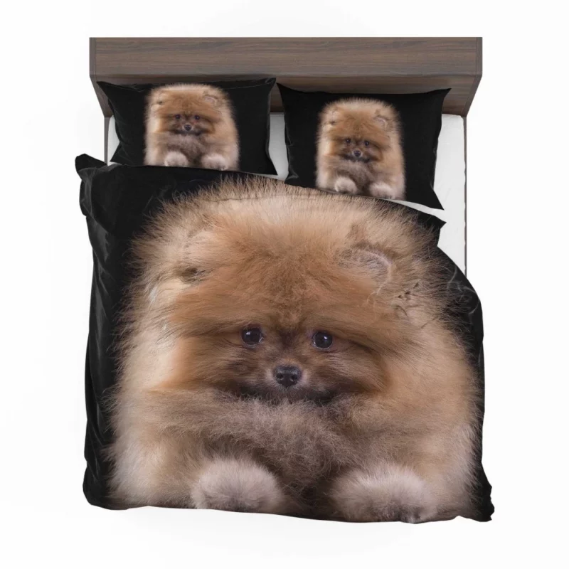 Spitz Puppy Fluffy Appeal Puppy Love Bedding Set 1