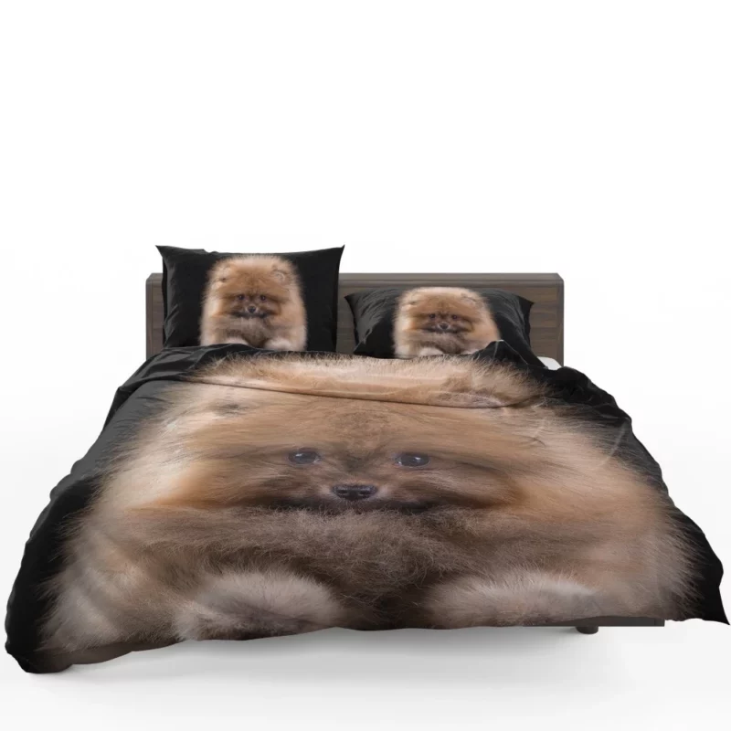 Spitz Puppy Fluffy Appeal Puppy Love Bedding Set